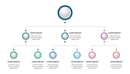Business structure infographic template with corporate hierarchy elements. Vector infographicのイラスト素材