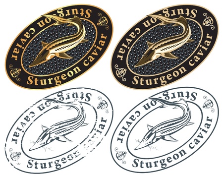 caviar from fish のイラスト素材