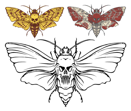 Illustration of a butterfly Dead head with a skull-shaped pattern on the thorax. Vector banner with realistic moth close up top view, black and white and coloredのイラスト素材