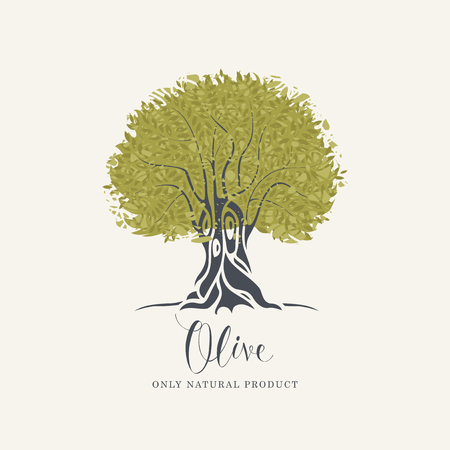 Vector banner or label with decorative olive tree with abstract green foliage and handwritten inscription on light background in retro styleのイラスト素材