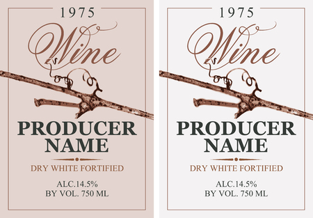 Set of two vector wine labels with grapevine and calligraphic inscription in retro style. Dry white fortifiedのイラスト素材