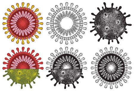 Set of vector hand-drawn coronavirus viral cells in cross-section. Virion COVID-19. Outbreak of coronavirus, prevention of virus. Pandemic alert. Isolated illustrations for science and medical useのイラスト素材
