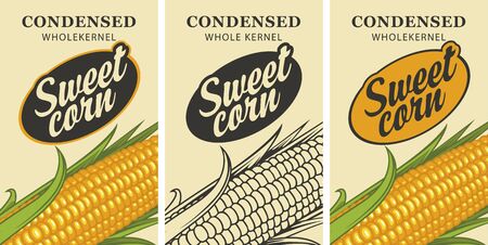 Sweet corn labels in retro style. Set of vector labels or banners for Sweet corn with corn cob and inscription on a light backgroundのイラスト素材
