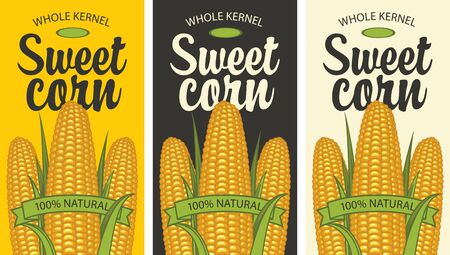 Sweet corn labels in retro style. A set of vector labels or banners for a whole sweet corn kernel with three corncobs and inscriptions on various backgroundsのイラスト素材