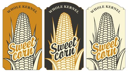 Sweet corn labels in retro style. A set of vector labels or banners for a whole sweet corn kernel with a contour drawing of a corncob and an inscription in a figured frame on various backgroundsのイラスト素材