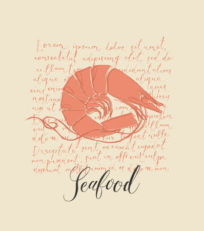 Vector banner or menu for a seafood restaurant or store. Hand-drawn illustration with a shrimp and an inscription on the background of handwritten text lorem ipsum in retro styleのイラスト素材