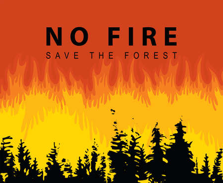 Eco poster concept with flaming forest and the words No fire, Save the Forest. Vector illustration in black and orange colors with black silhouettes of fir trees on the background of wildfire.のイラスト素材