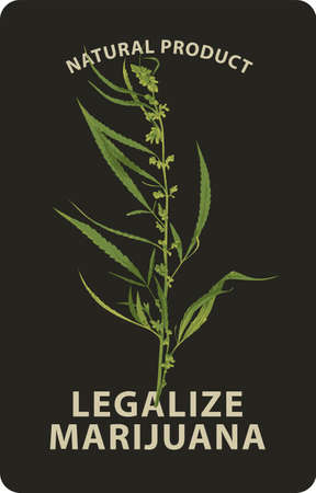 Vector banner for legalize marijuana with a realistic drawing of a cannabis plant on a black background. Natural product of organic hemp. A smoke weed. Medical cannabisのイラスト素材