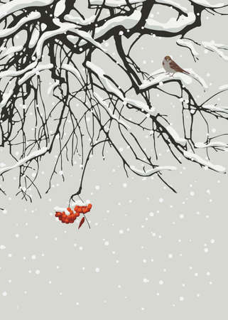 Snowy vector illustration with snow-covered branches and a red bunch of mountain ash and a small frozen sparrow on a gray sky background. Beautiful winter landscapeのイラスト素材
