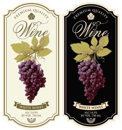 Set of vector wine labels with realistic bunches of delicious red grapes and calligraphic inscriptions in a figured frames on a various backgrounds. Wine collection premium quality.のイラスト素材