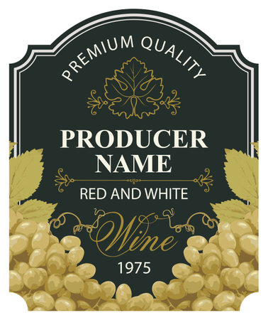 wine labels with realistic bunches of delicious green grapes and calligraphic inscriptions in figured frames on various backgrounds. vector illustration. Collection of quality winesのイラスト素材