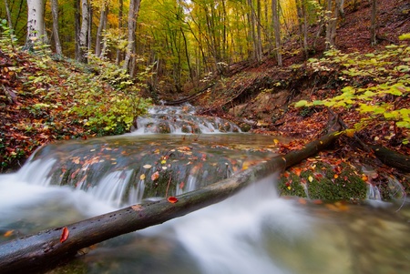 landscape with mountain river in autumn forestの写真素材