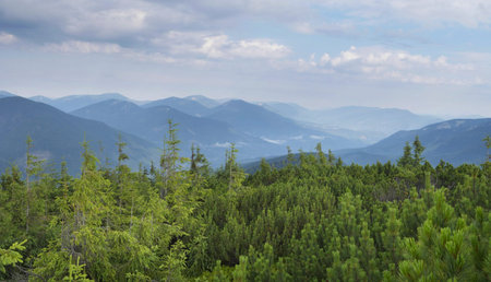 mountain scenery in Carpathians