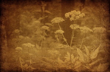 Abstract forest flowers vintage backgrounds. Grungy, sepia colored.の写真素材