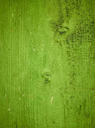 Green wood texture backgroundの写真素材