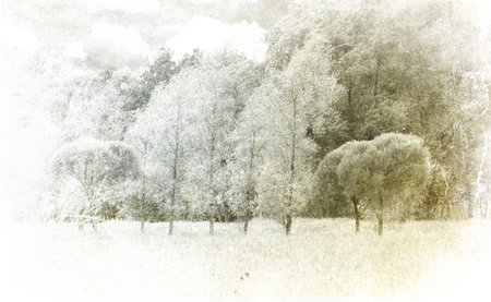 Wind in the park. の写真素材