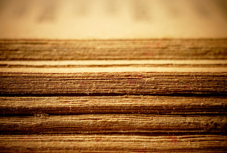 Opened Old Bible Pages, Macro.