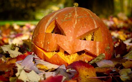 Creepy carved pumpkin. Closeup shot in autumn park.の写真素材