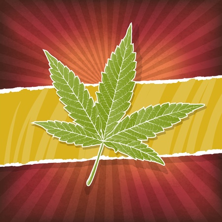 Background with cannabis leaf and rasta colorsのイラスト素材