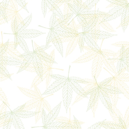 Hemp leaves seamless patternの写真素材