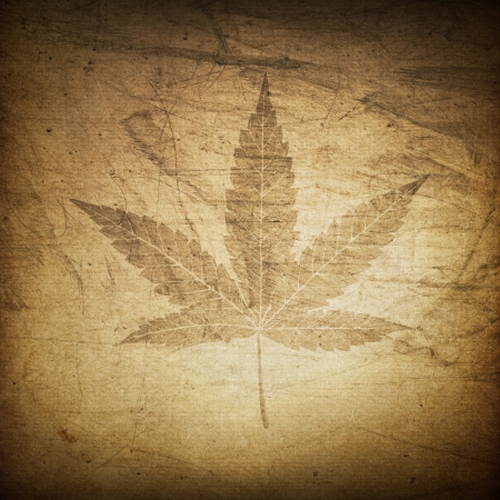 Cannabis leaf grunge backgroundの写真素材