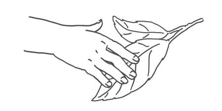 Handshake hand with leaf. Save nature illustration.のイラスト素材