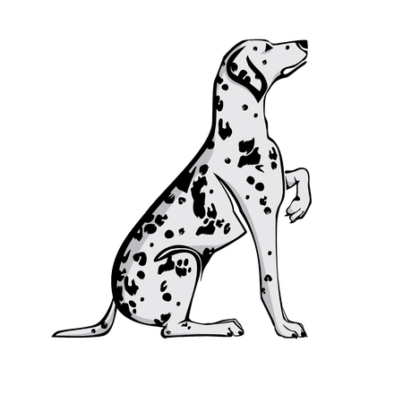 Sitting Dalmatian dog with raised pawのイラスト素材