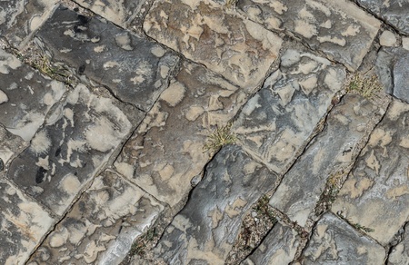 Old pavement textureの写真素材