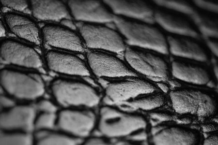 Leather texture black background,crocodile leatherの写真素材
