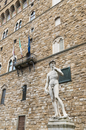 Statue of David by Michelangelo in Florence, Italy.の写真素材