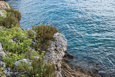 Coastline landscape in Salento, Apulia. Italyの写真素材