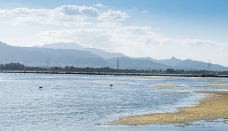 Coastal lagoon Pool of Cagliari in Sardinia, Italyの写真素材