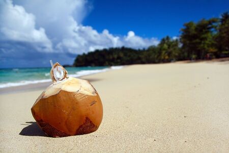 Coconut with pipe on beachの写真素材