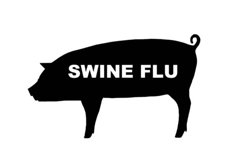 Silhouette of danger pigの写真素材