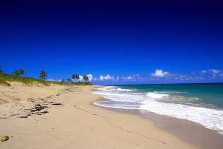 Caribbean beach の写真素材