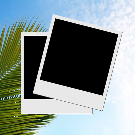 Photo frame on palm leaf and sky backgroundの写真素材