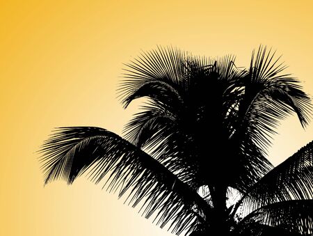 Illustration of beautiful palms leaf on yellow gradient background の写真素材