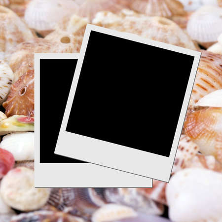 Photo frame on seashells の写真素材