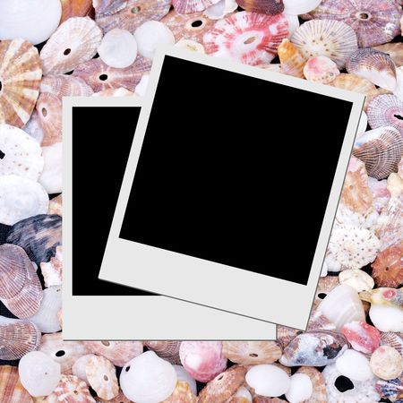Photo frame on seashells background の写真素材