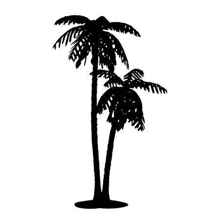 Silhouette of palm on white の写真素材