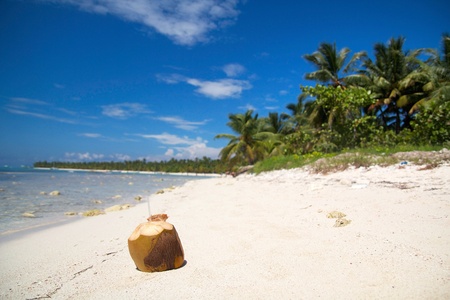 Coconut cocktail on beach, Dominican Republicの写真素材