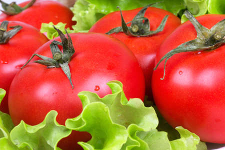 Tomatoes on salad leaf, closed-up の写真素材