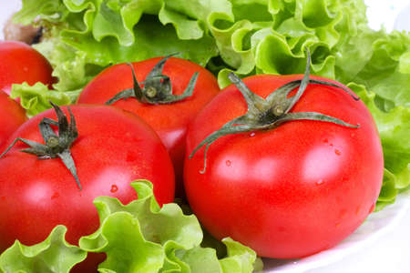 Tomatoes on salad leaf on white plate, closed-up の写真素材