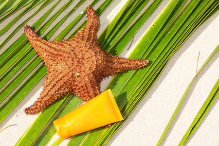 Starfish and sun protection tube on palm leaf, closed-upの写真素材