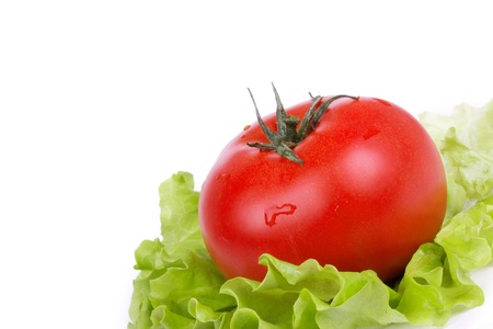 One tomato on salad leaf, closeup on white の写真素材