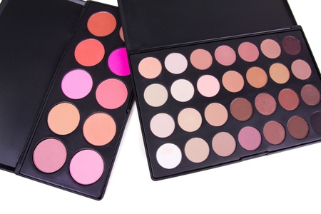 Professional eyeshadows on whiteの写真素材