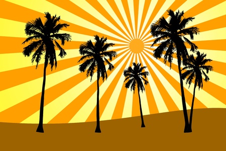 Silhouette of palms on sunlight backgroundの写真素材