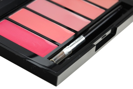 Lipgloss palette with brush , closeup on whiteの写真素材