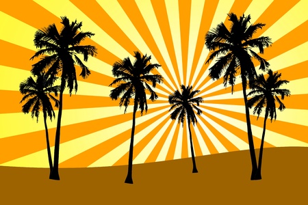 Illustration of palms on sunset backgroundの写真素材