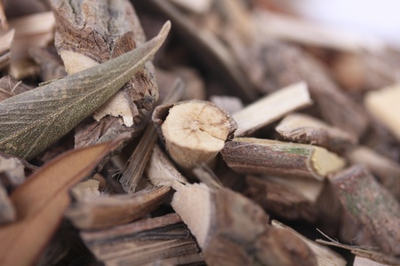 Mamajuana roots, herbal aphrodisiacの写真素材